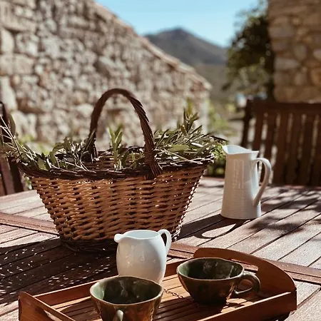 Masia La Costereta Holiday home Cati