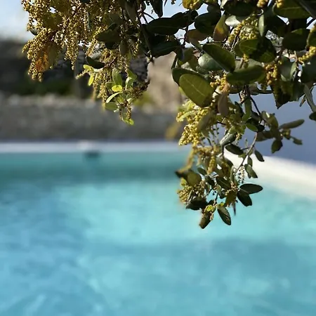 Holiday home Masia La Costereta *